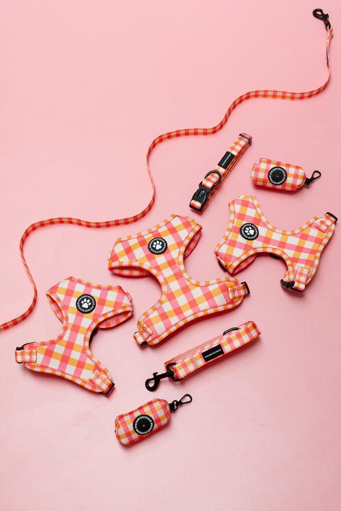 Dog harnesses, leashes, and collars with a checkered pattern on a pink background