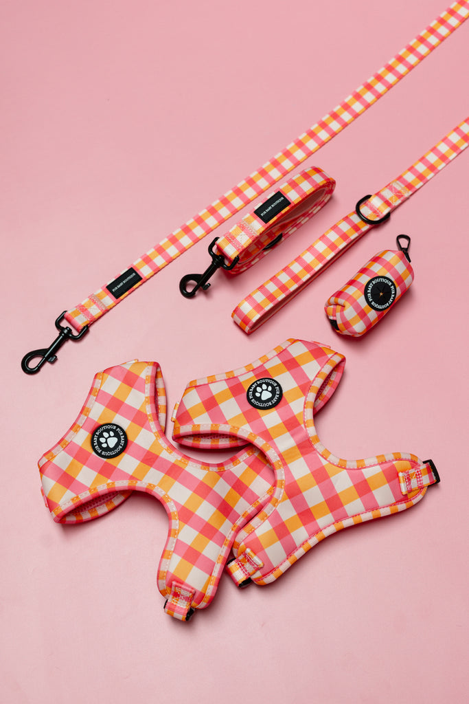 Dog harness, leash, and poop bag holder with pink and orange checkered pattern on a pink background