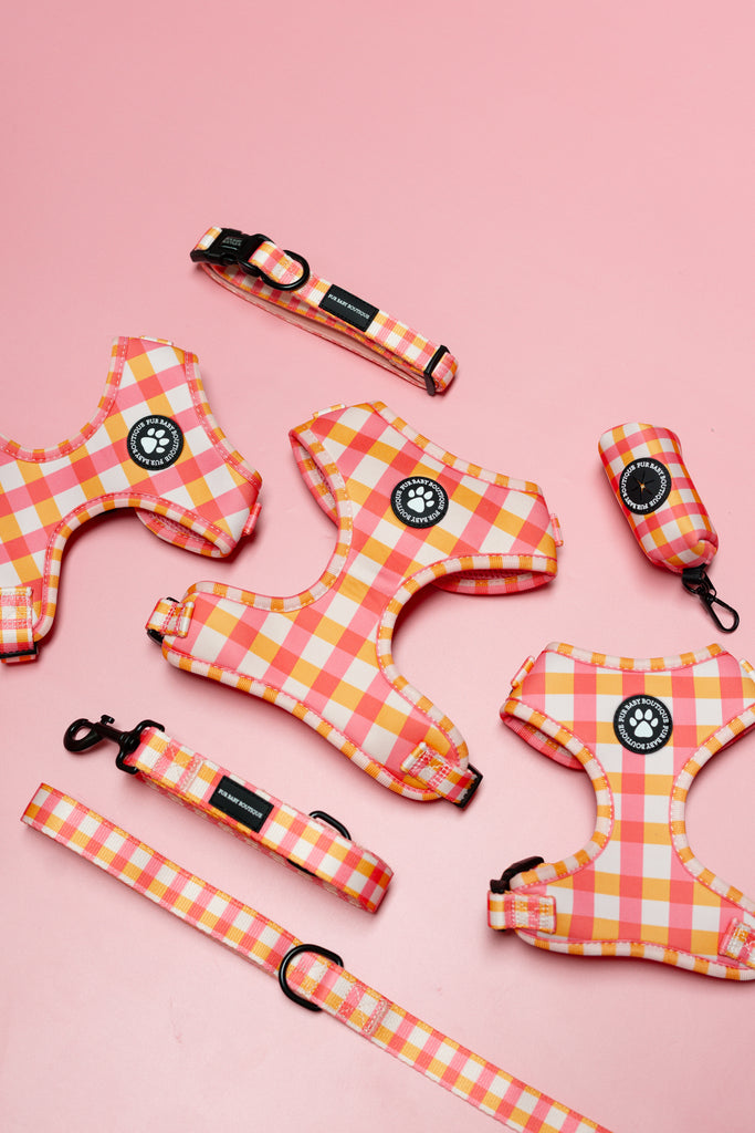 Set of pink and orange checkered dog accessories including harnesses and leashes on a pink background.