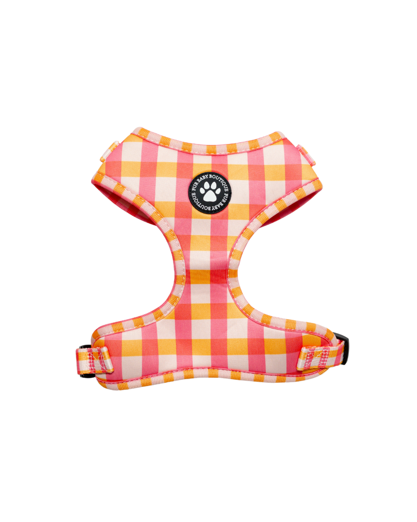 Pink and orange checkered dog harness with a brand logo on a white background