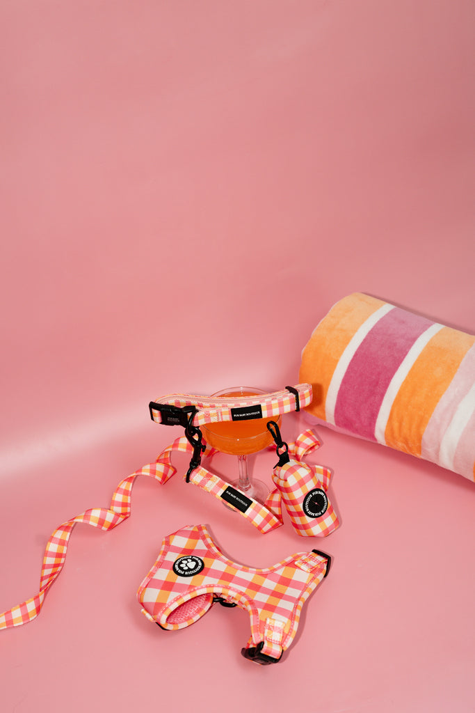 Dog harness, leash, towel, collar on a pink background