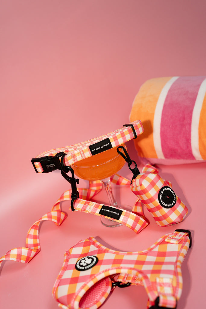Checkered dog harness and leash set with a towel on a pink background