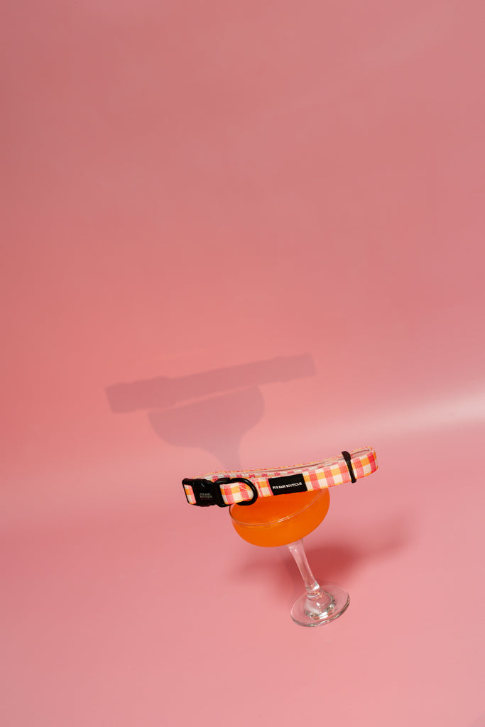 Cocktail in a glass with a checkered dog collar on a pink background