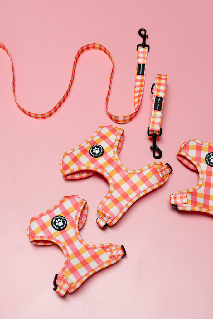 Dog harnesses and leashes with a checkered pattern on a pink background