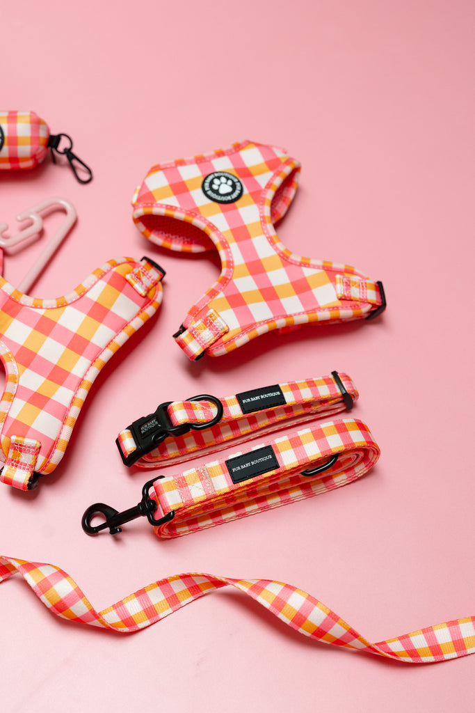 Dog harness and leash set with checkered pattern on a pink background
