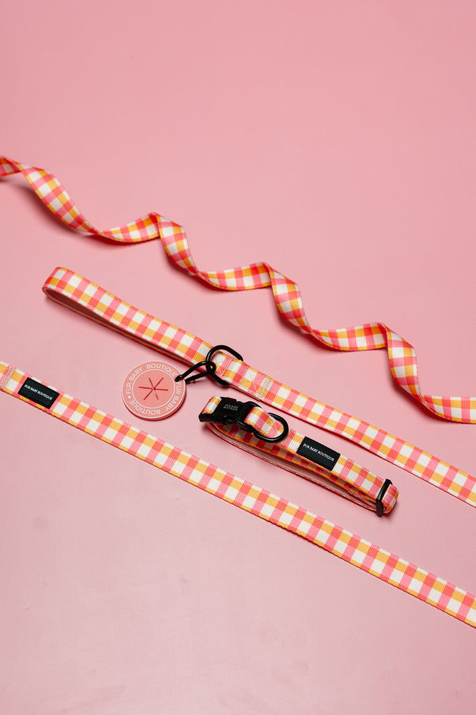 Checkered dog leash and collar set on a pink background