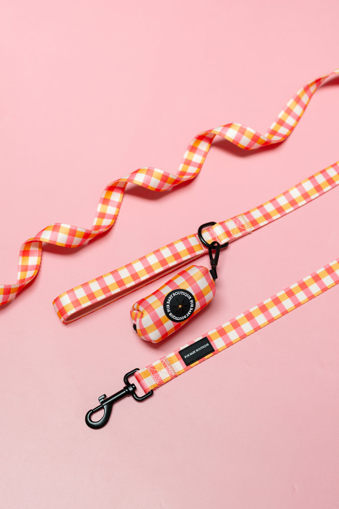 Pink and orange checkered dog leash and clip on a pink background