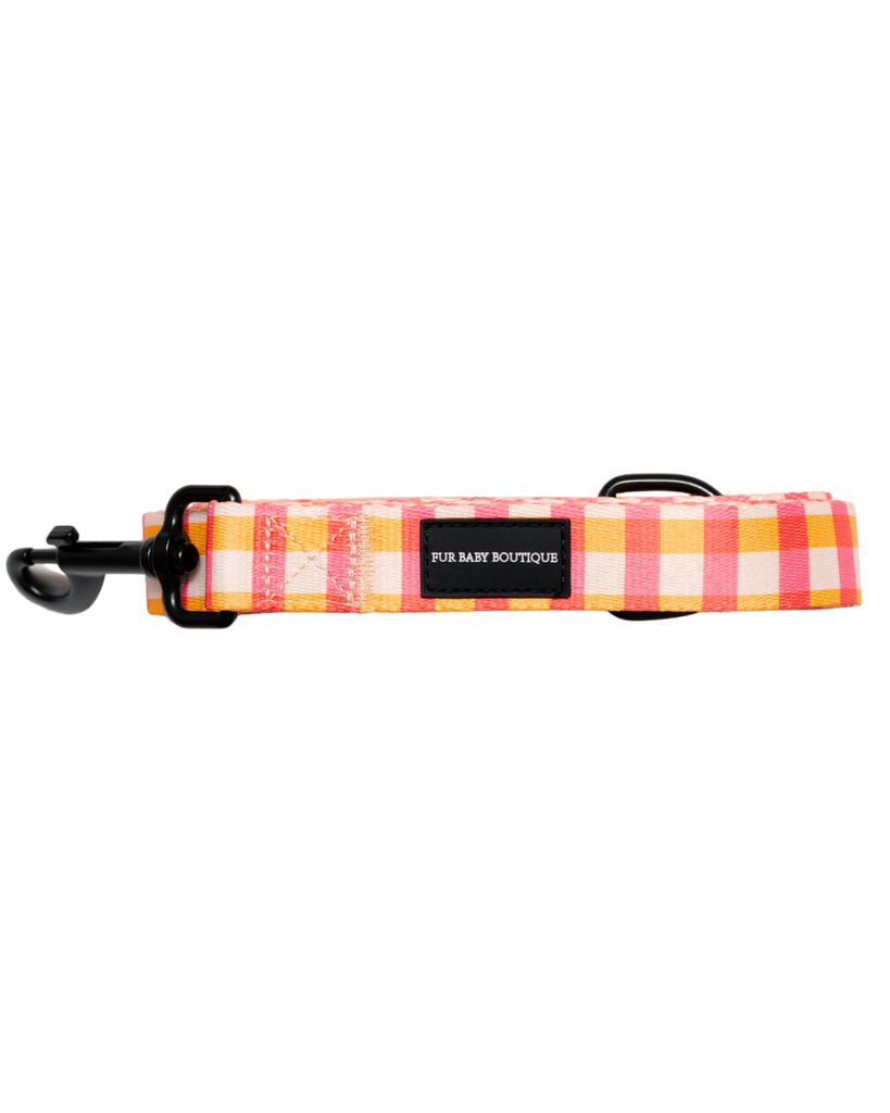 Plaid dog leash with a black label on a white background